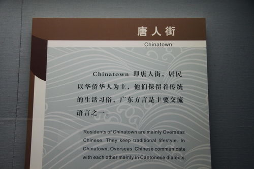 從海外社團到民族實業(yè) 華僑歸國創(chuàng)業(yè)的歷史足跡